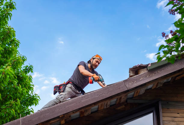 Best Roof Ventilation Installation  in Wyndham, VA