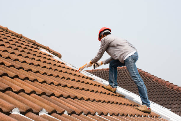 Best Sheet Metal Roofing  in Wyndham, VA